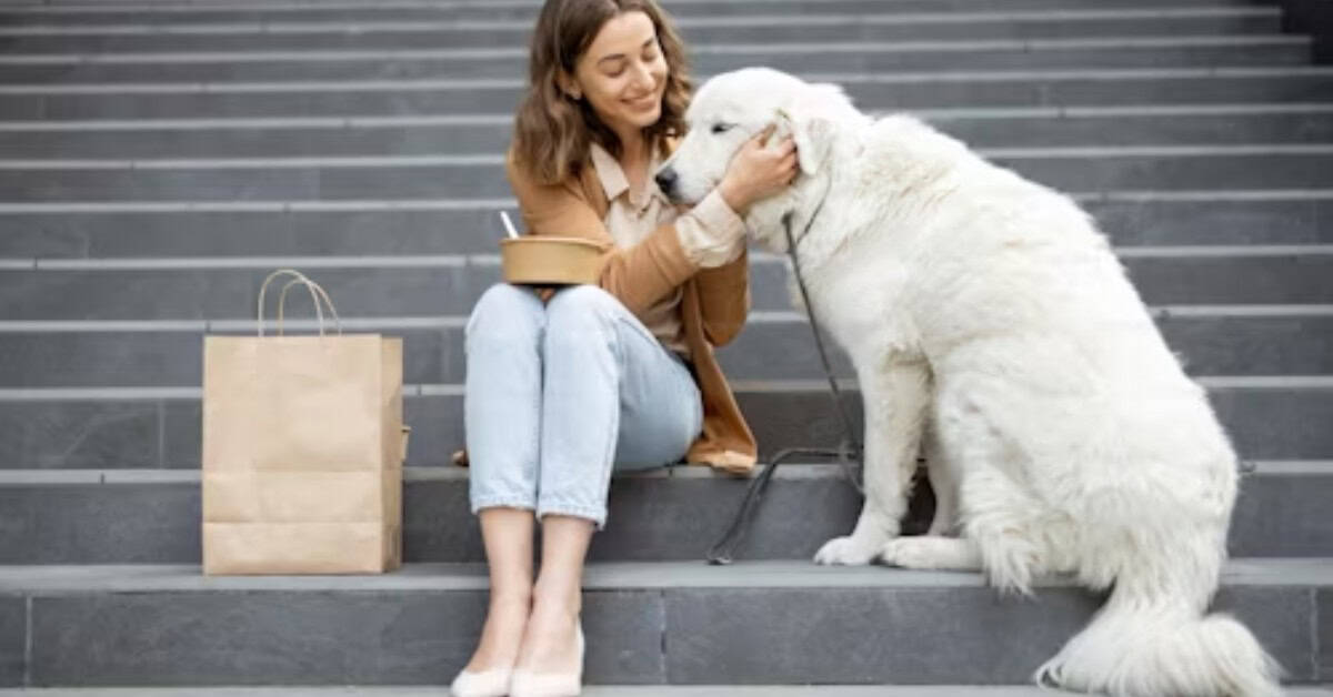 Hond Kopen: Alles Wat Je Moet Weten